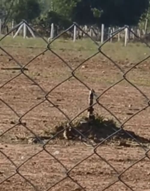 An image of land