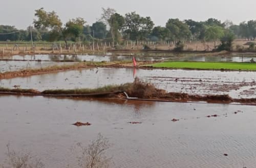 An image of land