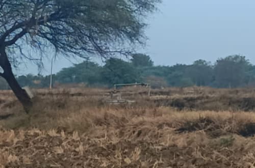 An image of land