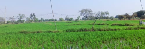 An image of land