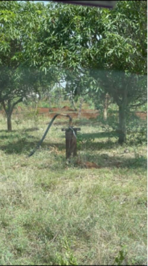 An image of land
