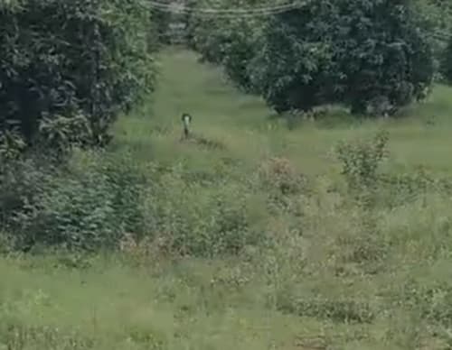 An image of land