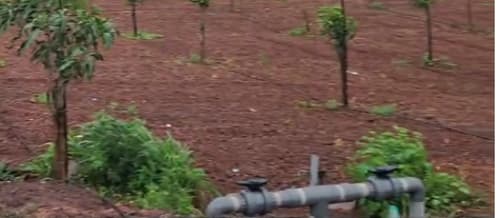 An image of land