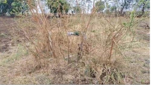 An image of land