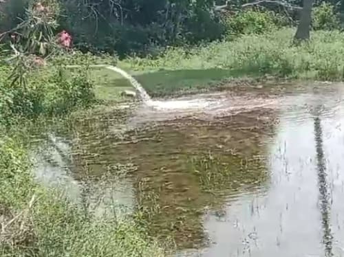An image of land