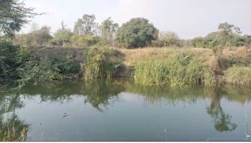 An image of land