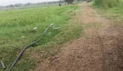 An image of land