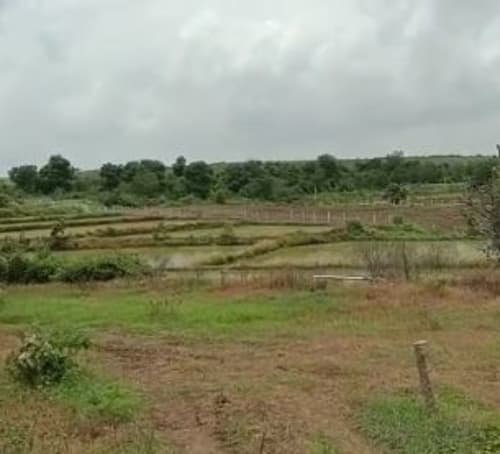 An image of land