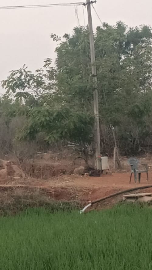 An image of land