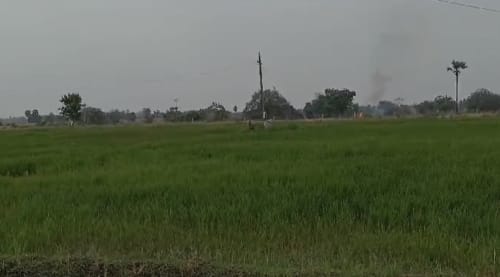 An image of land