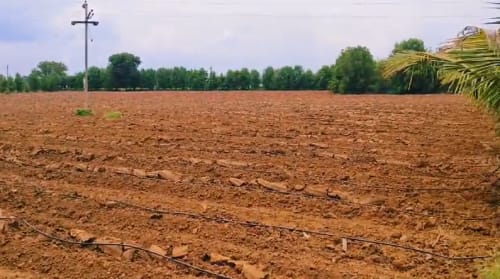 An image of land