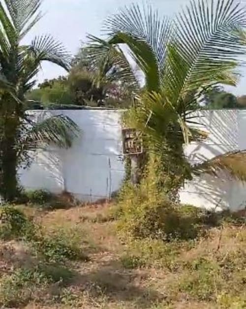 An image of land