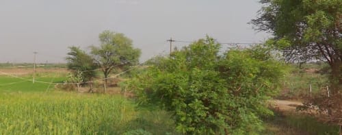 An image of land