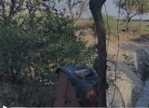An image of land
