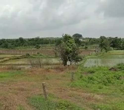 An image of land