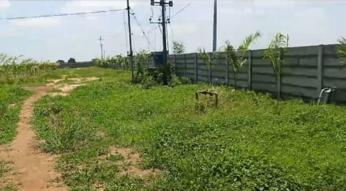 An image of land