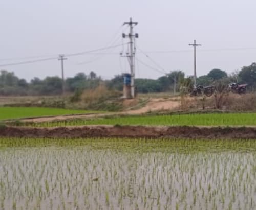 An image of land