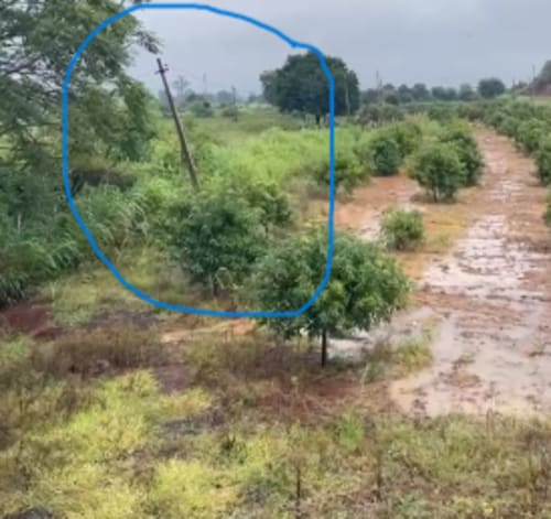 An image of land