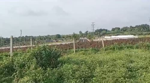 An image of land