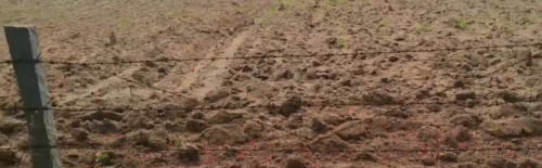 An image of land