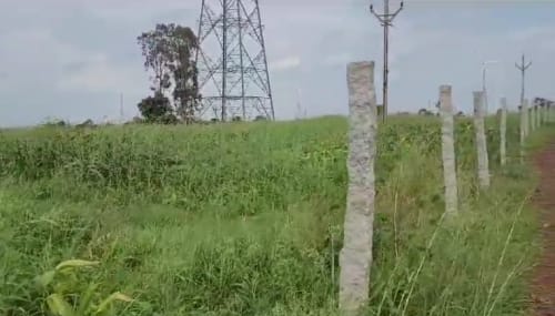 An image of land