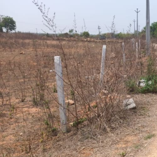 An image of land