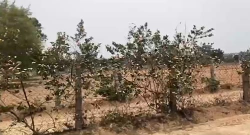 An image of land