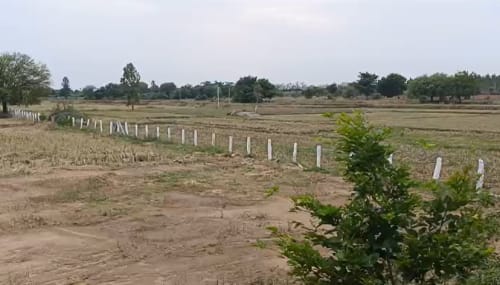An image of land