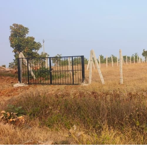 An image of land