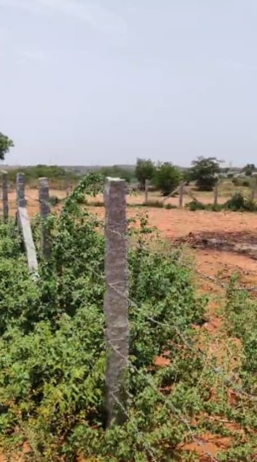 An image of land