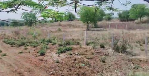 An image of land