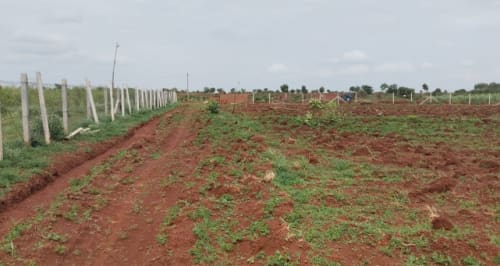 An image of land