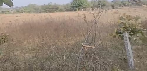 An image of land