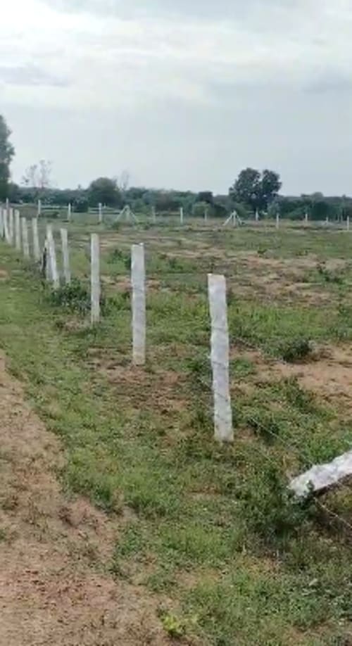 An image of land