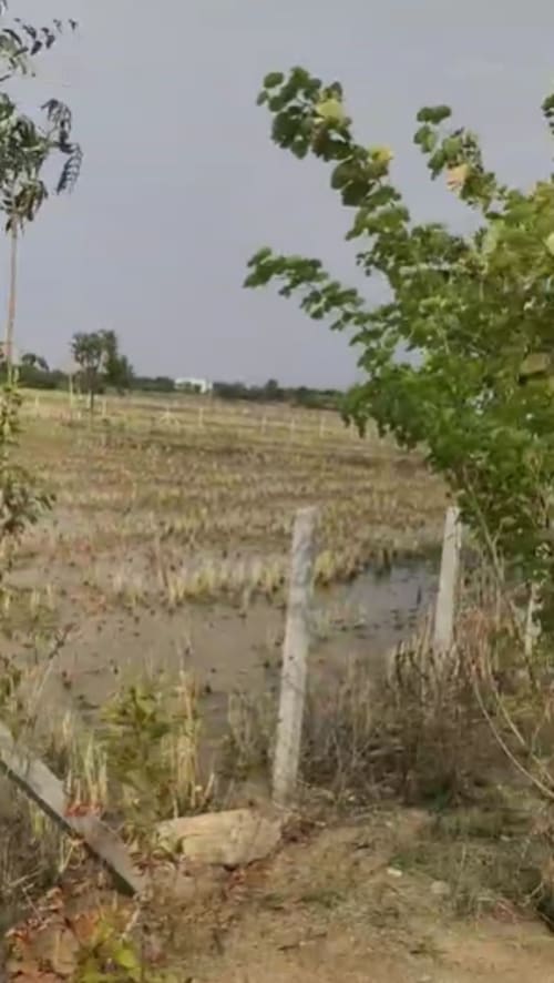 An image of land