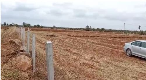 An image of land