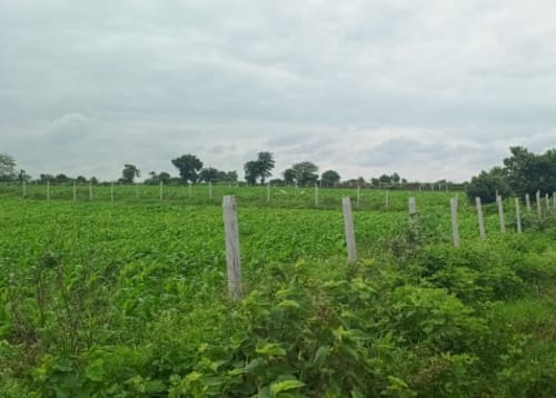 An image of land