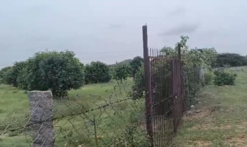 An image of land