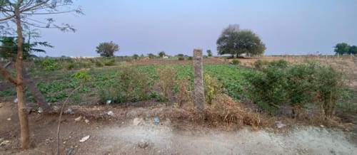 An image of land