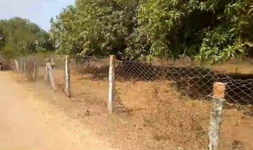 An image of land