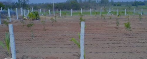 An image of land