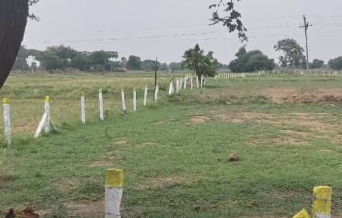 An image of land