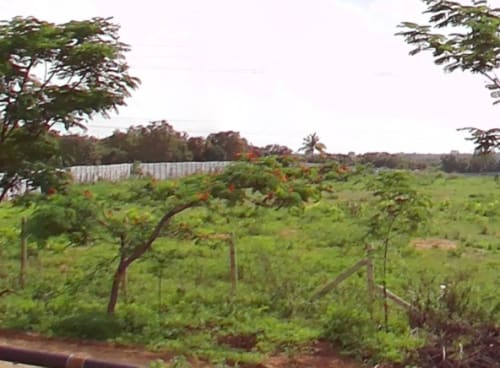 An image of land