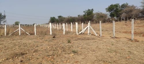An image of land
