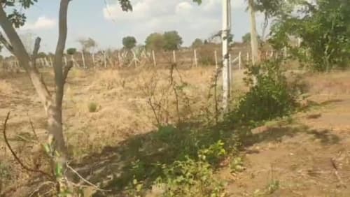 An image of land
