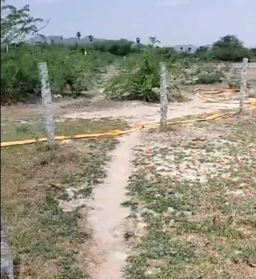 An image of land
