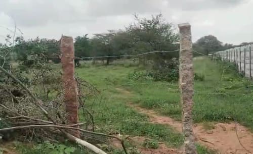 An image of land