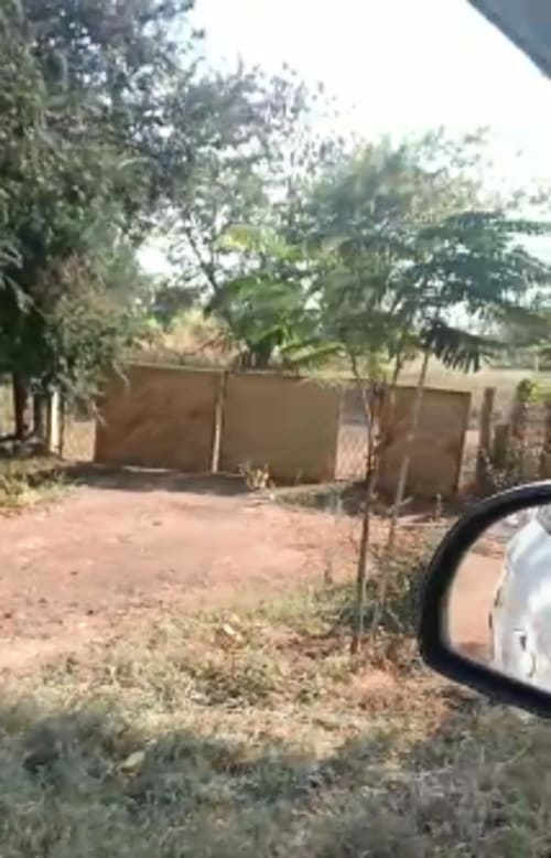 An image of land