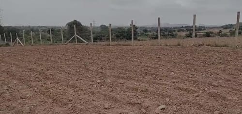 An image of land