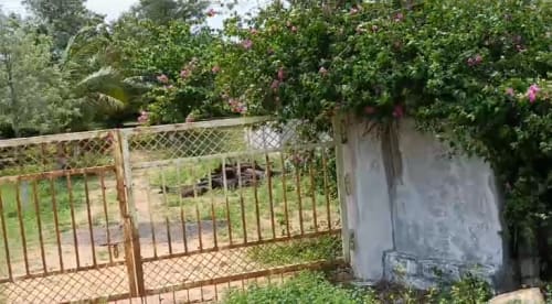 An image of land